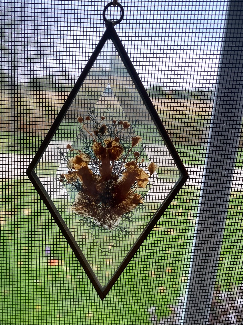 Vintage Pressed Dried Flower Bevelled Glass Sun-catcher Handmade